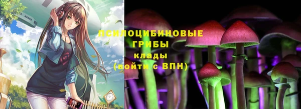 соль курить ск Сосновый Бор