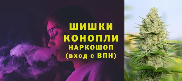 СК Сосновка